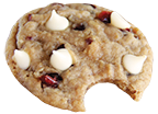 Oatmeal Cranberry cookie bite icon