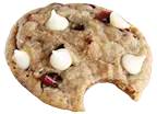 Oatmeal Cranberry cookie bite icon