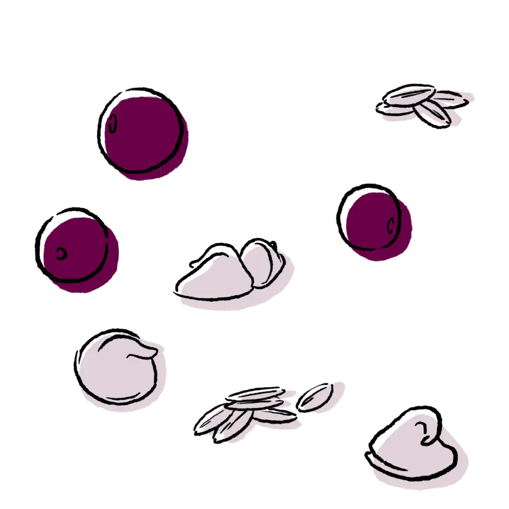 Ingredient illustration - cranberries, white chips, and oats